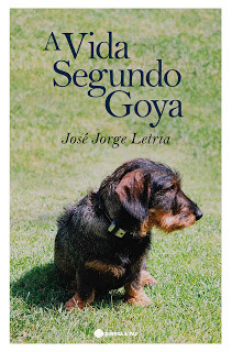 CAPA goya_300dpi[1].jpg