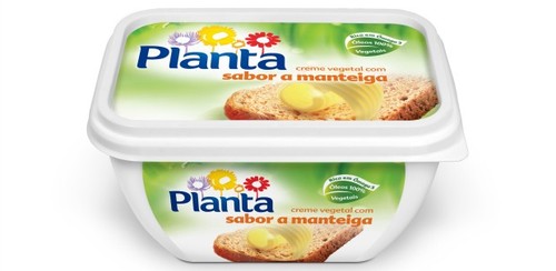 planta.jpg planta.jpg