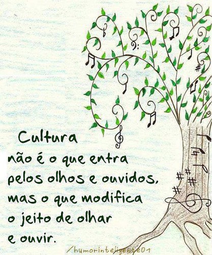 Cultura não é o que entra pelos olhos e ouvidos, mas o que modifica