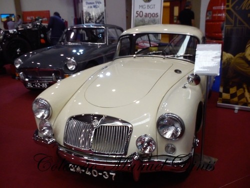 2015 Autocl&aacute;ssico Porto (487).jpg