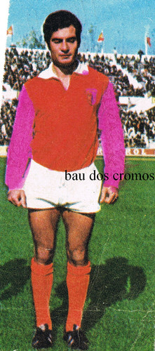 palmeira.jpg palmeira.jpg
