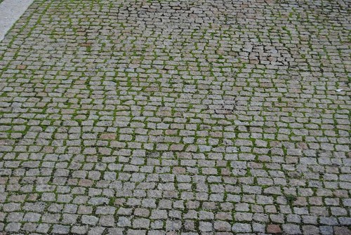 bordejada de verde.jpg bordejada de verde.jpg