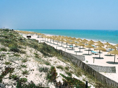 Praia%20Ancao%20Sonnenschirme[1].jpg