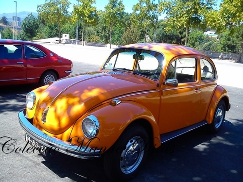 Encontros Al&eacute;m Corgo (27).jpg