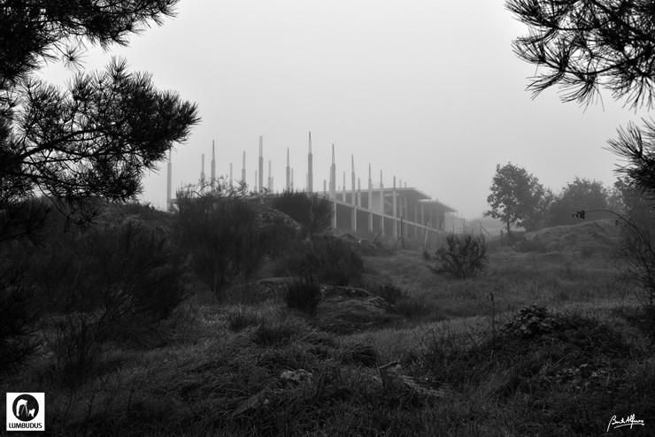 _D760455.JPG _D760455.JPG