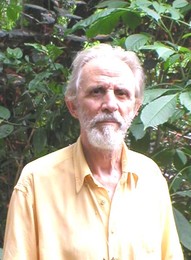 Francisco Gomes de Amorim