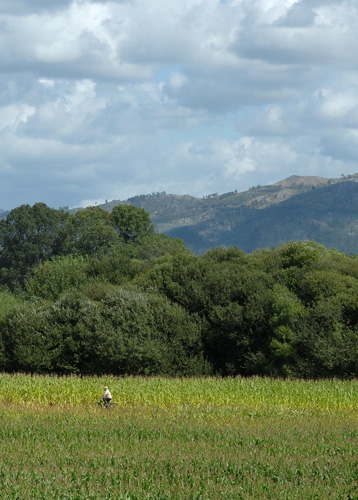 Blogue_paisagem11_Lanheses2015.jpg Blogue_paisagem11_Lanheses2015.jpg